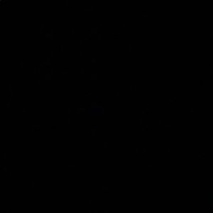 Meet your Posher, Wayne